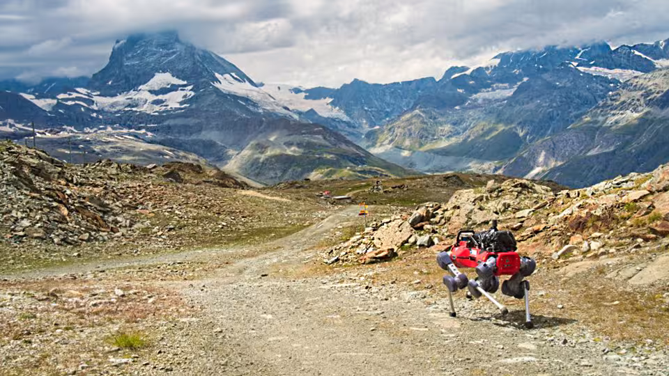 Robot dog in the mountains 